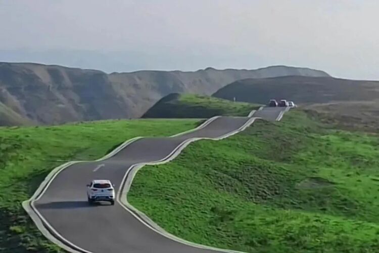 10万亩云上花海正在绽放!走进贵州版“秘密花园”,错过等一年