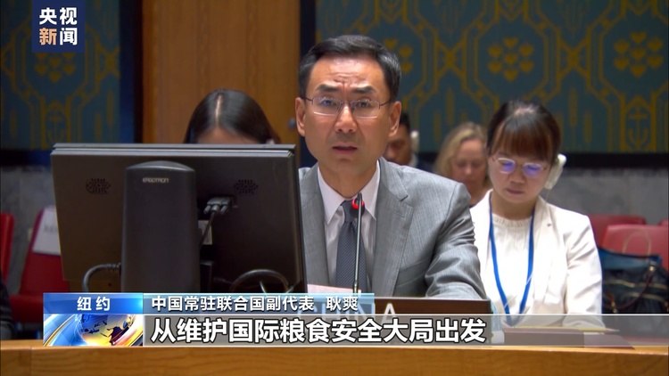 恢复黑海粮食运输通道 须均衡、全面、有效执行协议_fororder_222