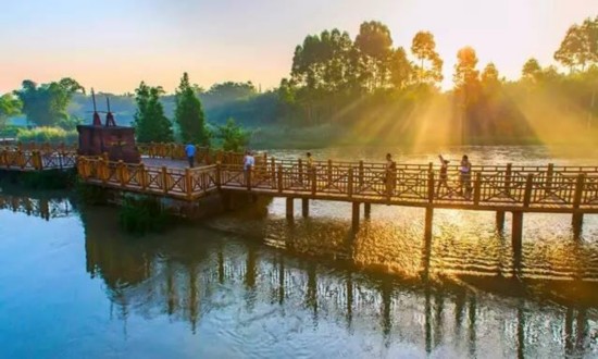 （导航成都）成都市委副书记朱志宏到新津开展学习宣传贯彻习近平总书记来川视察重要讲话精神专项督导工作