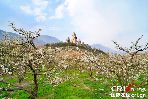 图片默认标题_fororder_5、春赏花-夏摘果--摄影-李天社