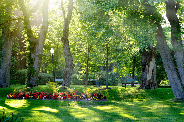 图片默认标题 图片默认标题_fororder_VCG41N821298842