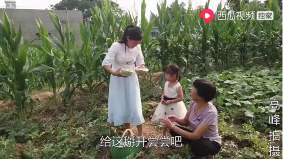 90后大学生返乡记录田园生活走红西瓜视频,网友:幸福是回家 90后大学生返乡记录田园生活走红西瓜视频,网友:幸福是回家