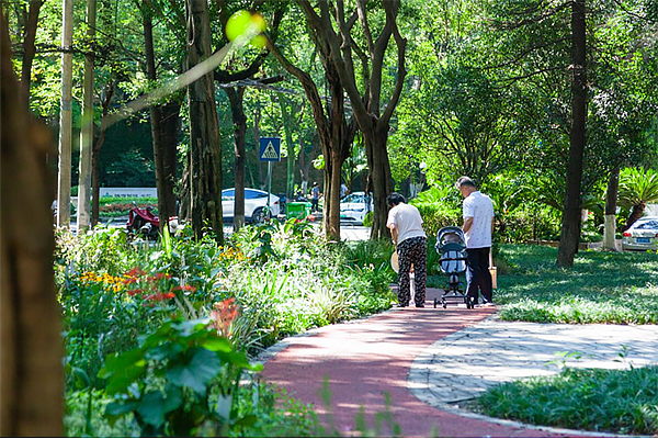 为大运“添彩” 成都百余种乡土植物“特色花境”呈现_fororder_未标题-1