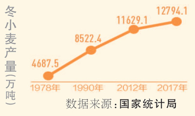 [人民日报]今年冬小麦力争稳定在3.3亿亩以上（礼赞70年）