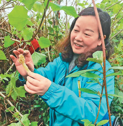 「人民日报」大山里的“菇老师”（爱国情 奋斗者）