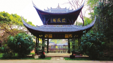 （导航眉山，移动端）三苏带我走进宋代——《曾枣庄三苏研究丛刊》自序