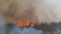 加拿大林火持续蔓延 过火面积超13万平方公里