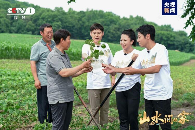 (转载)黑土地上锄野豆,天府粮仓迎丰收,《山水间的家》解锁“丰”景“密码”