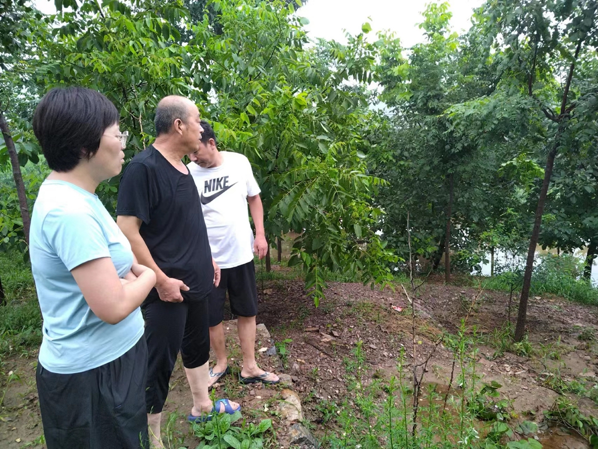 图片默认标题_fororder_深入田间地头查看果树情况 摄影 朱路