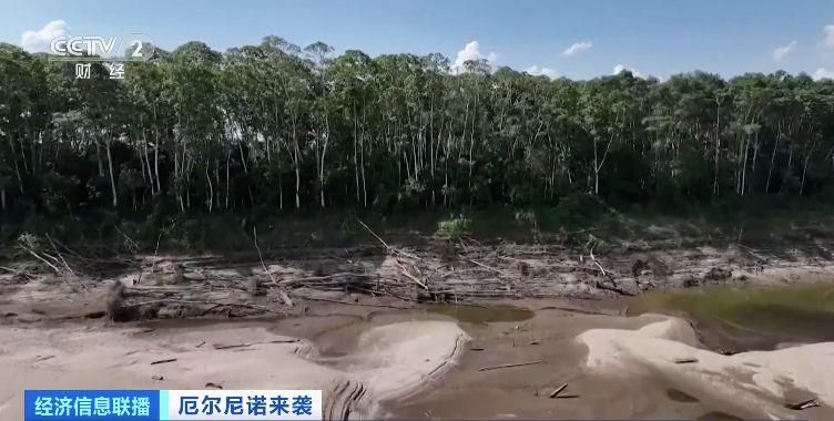 巴西亚马孙河最大支流水位大幅下降 航运和捕鱼业受威胁