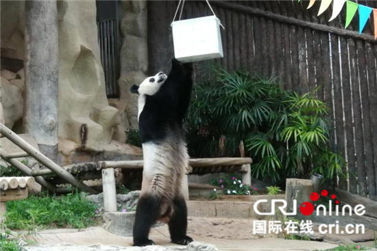 图片默认标题 图片默认标题_fororder_CCTV-0011157