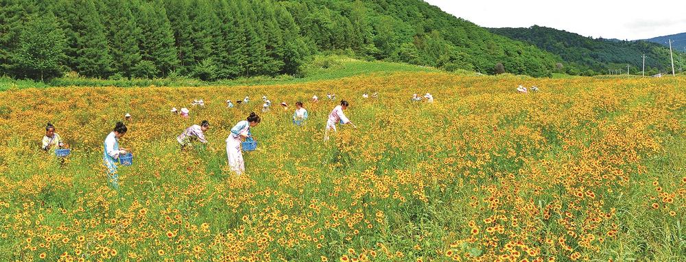 白山:做强绿色产业 加快建设践行“两山”理念试验区_fororder_吉林焦点6-6b91e3f6-b524-4bf7-bd6d-68035085984c