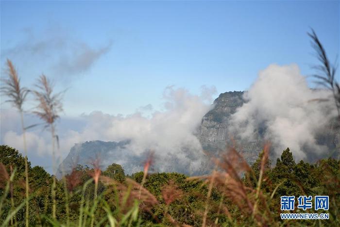 图片默认标题 图片默认标题_fororder_CqgNOl2b5u2AIfLsAAAAAAAAAAA843.899x600