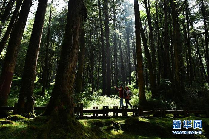 图片默认标题 图片默认标题_fororder_CqgNOl2b5uyAQqwOAAAAAAAAAAA174.900x600