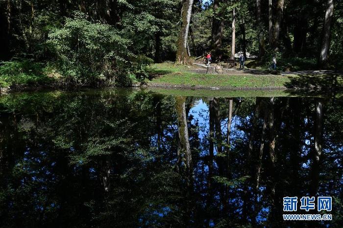 图片默认标题 图片默认标题_fororder_CqgNOl2b5uyADbaJAAAAAAAAAAA578.900x600