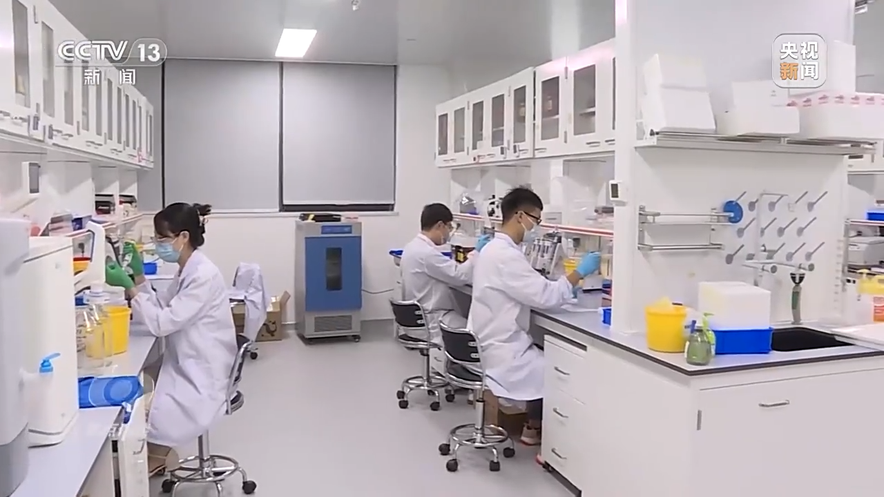 焦点访谈丨蓝图已绘就 看“小河弯弯”如何变为“科创引擎”