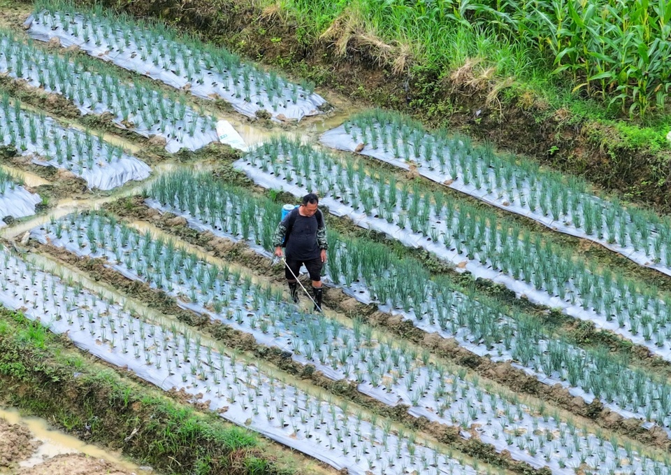 广西:暑期研学忙