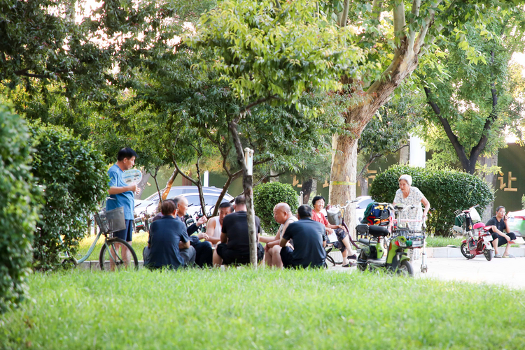 石家庄晋州:“边角料”变公园 居民休闲笑开颜_fororder_图片4