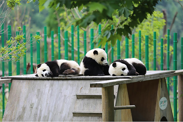 世界你好,我是阿坝|天下无忧地 胜景在汶川_fororder_未标题-2