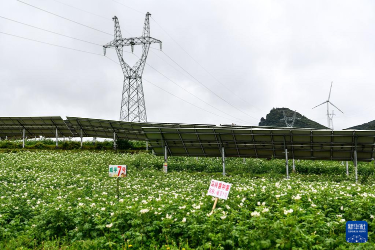 贵州：“风吹日晒”造就崛起中的绿色能源高地