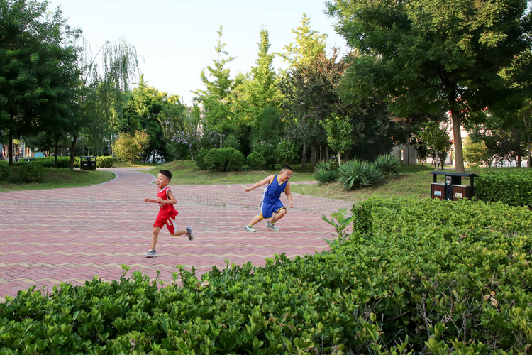 石家庄晋州:“边角料”变公园 居民休闲笑开颜_fororder_图片3