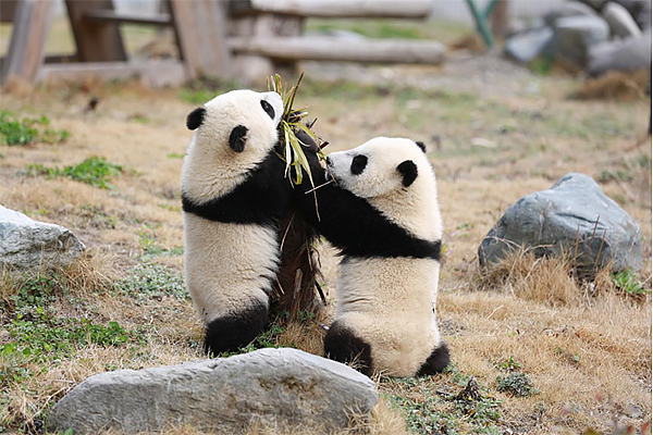 世界你好,我是阿坝|天下无忧地 胜景在汶川_fororder_未标题-1