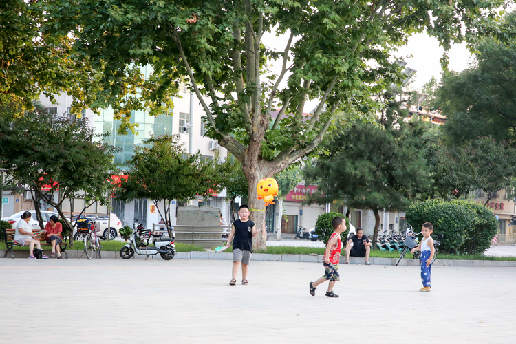 石家庄晋州:“边角料”变公园 居民休闲笑开颜_fororder_图片7