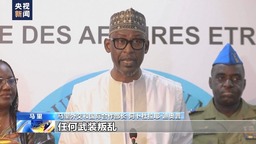 马里等西非三国宣布建立“萨赫勒国家联盟”