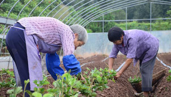 图片默认标题_fororder_b32ba8b0-47bf-4a40-a961-fbadf87e2b30