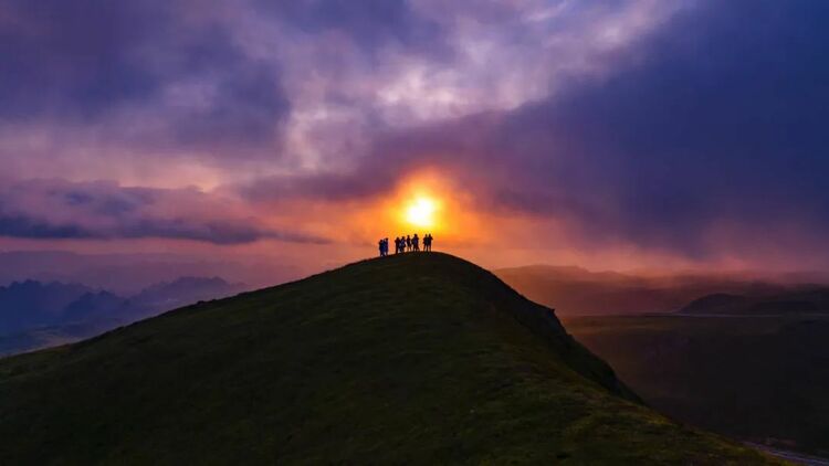 10万亩云上花海正在绽放!走进贵州版“秘密花园”,错过等一年
