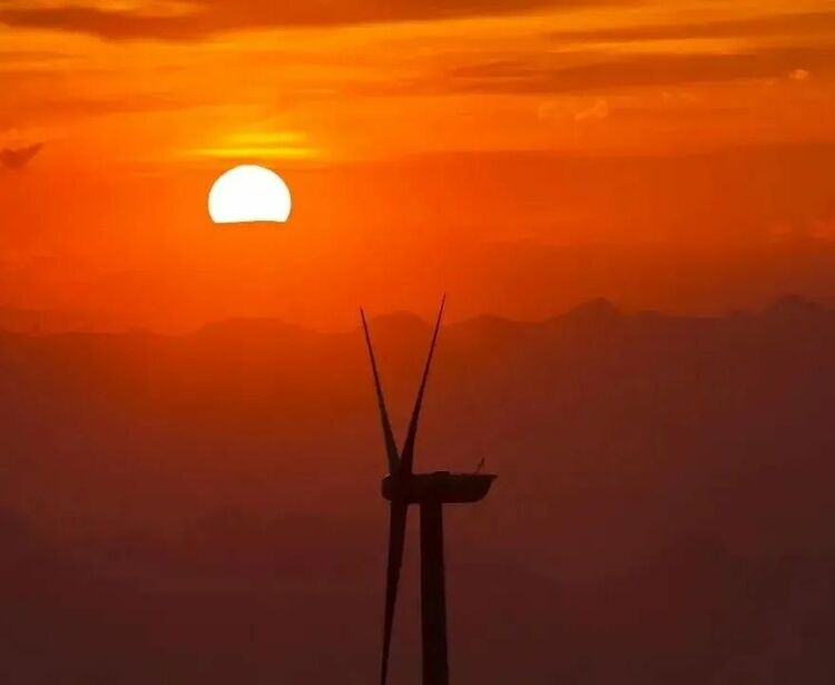 10万亩云上花海正在绽放!走进贵州版“秘密花园”,错过等一年