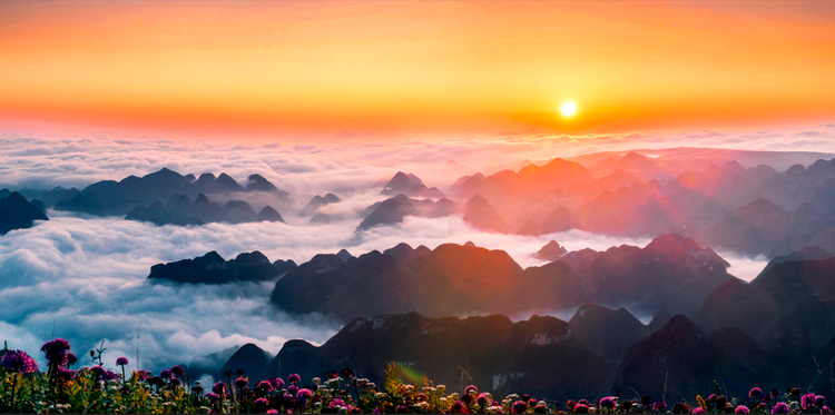 10万亩云上花海正在绽放!走进贵州版“秘密花园”,错过等一年