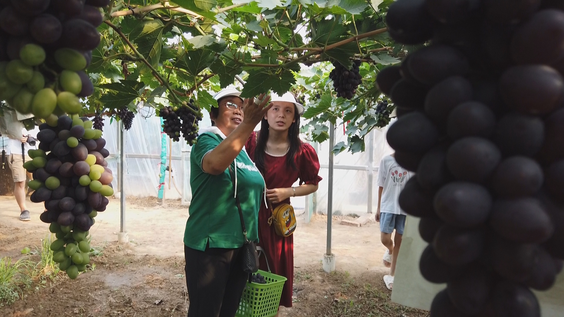 石家庄市鹿泉区:特色产业拓宽乡村振兴致富路_fororder_图片8