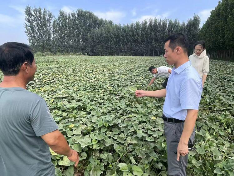 图片默认标题_fororder_006