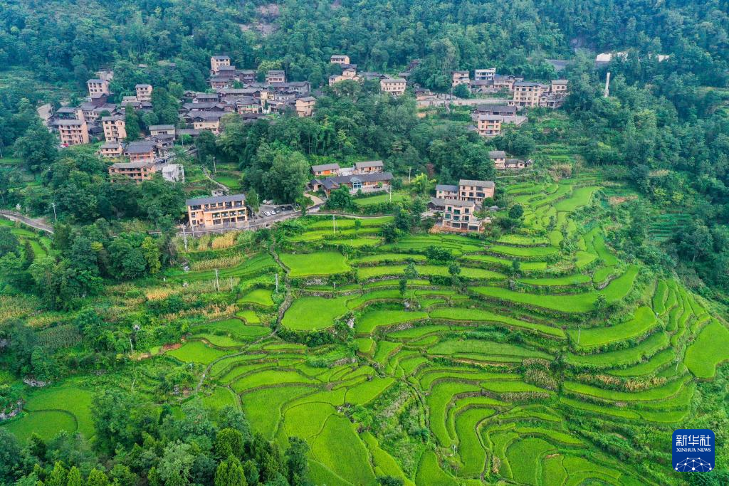 重庆酉阳:农文旅融合让乡村焕发新活力