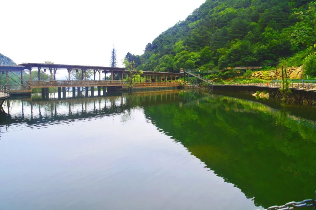 石家庄市文旅局全力推进灾后重建工作_fororder_640 (1)