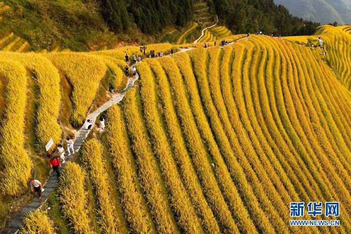 图片默认标题 图片默认标题_fororder_CqgNOl2ekv2AUHKUAAAAAAAAAAA896.900x600