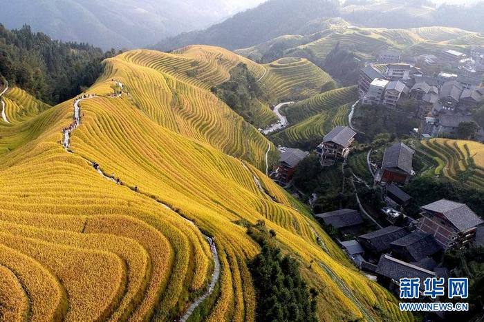 图片默认标题 图片默认标题_fororder_CqgNOl2ekv6AOr7FAAAAAAAAAAA171.900x600