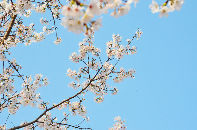 3月26日 浙江省寧海県 葛紋静さん 3月26日 浙江省寧海県 葛紋静さん