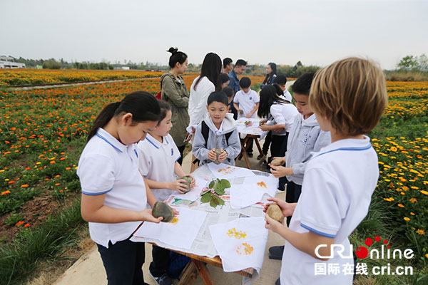 图片默认标题_fororder_3