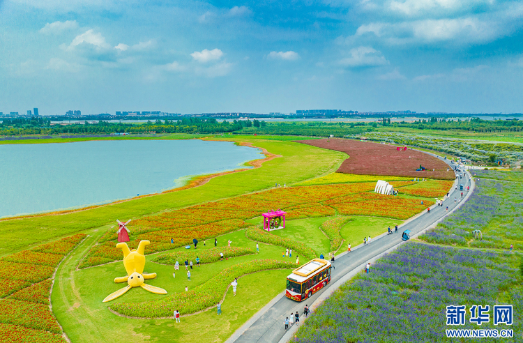 南京固城湖:趁着暑假的尾巴 邂逅绿意花香_fororder_20230829_090724_000