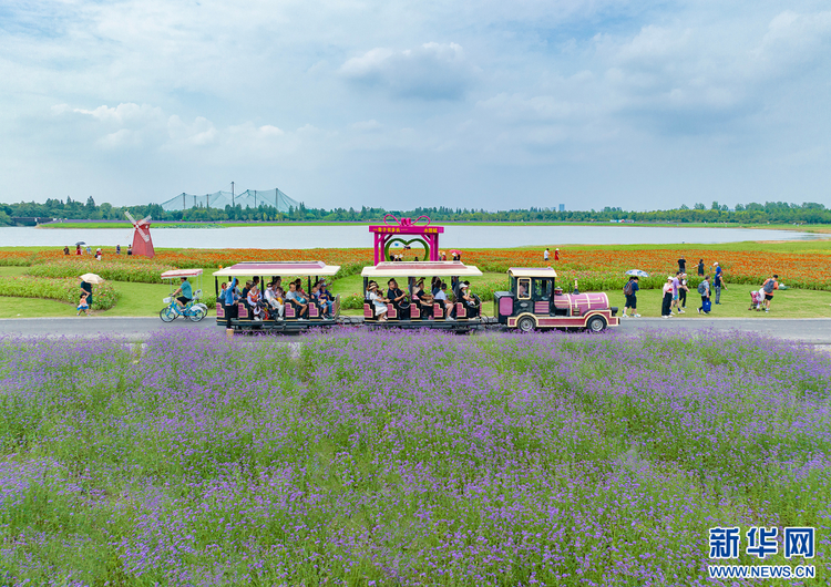 南京固城湖:趁着暑假的尾巴 邂逅绿意花香_fororder_20230829_090724_002