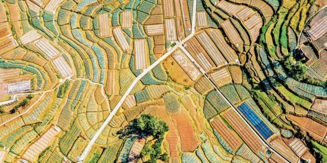 图片默认标题_fororder_001c422884731f0a02e73c