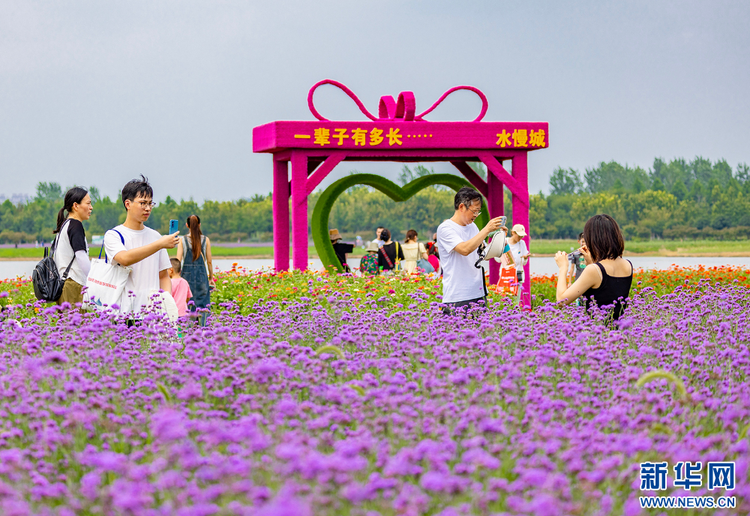 南京固城湖:趁着暑假的尾巴 邂逅绿意花香_fororder_20230829_090724_005