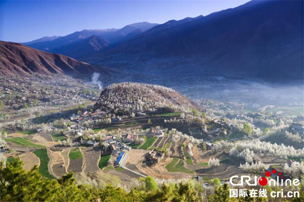 图片默认标题_fororder_金川世外梨园风光