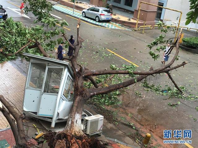 台风"莫兰蒂"在福建厦门登陆(组图)