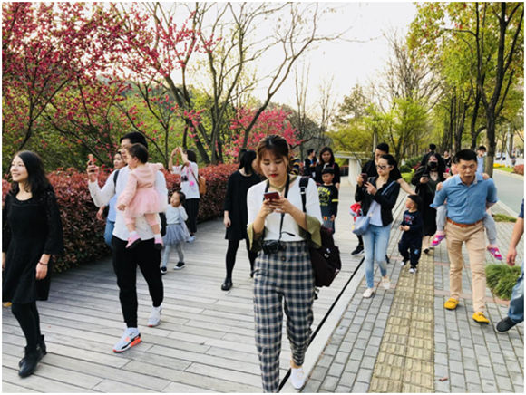 破风骑行,赏樱游湖,带上至爱驾到千岛湖体验最