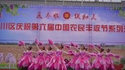 金昌金川：第六届中国农民丰收节系列活动在双湾镇中心文化广场举行