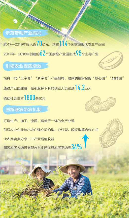 [人民日报]小花生“长”成大产业（田间追踪高质量）