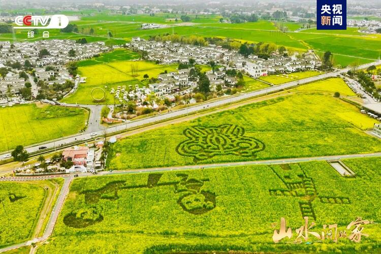(转载)黑土地上锄野豆,天府粮仓迎丰收,《山水间的家》解锁“丰”景“密码”